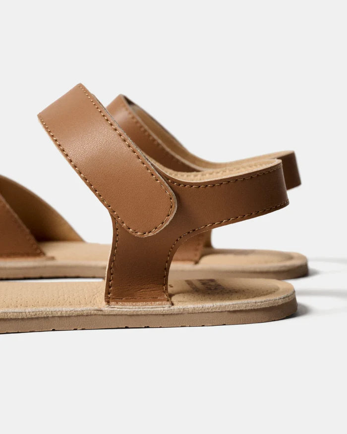 Muris Florence- Walnut  Brown